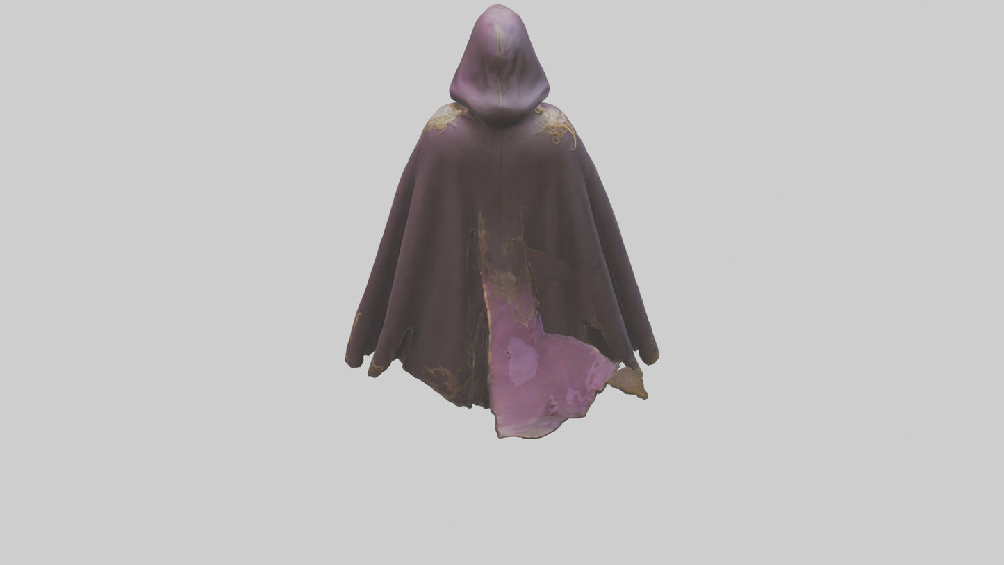 3D model Enchanted Cloak model VR / AR / low-poly