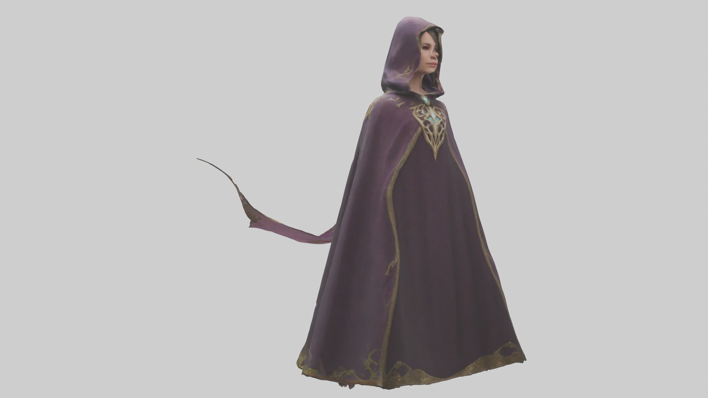 3D model Enchanted Cloak model VR / AR / low-poly