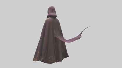 3D model Enchanted Cloak model VR / AR / low-poly
