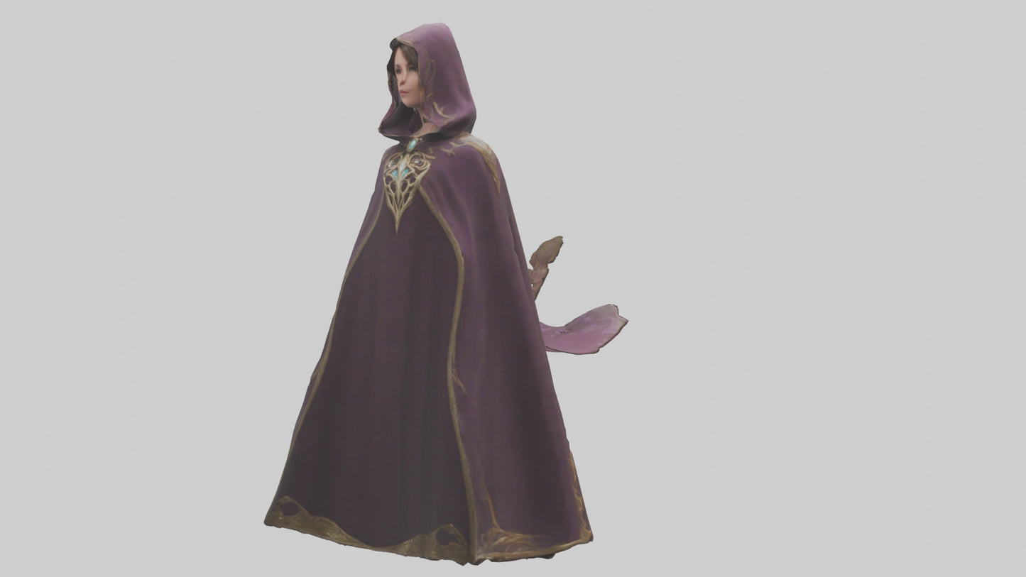 3D model Enchanted Cloak model VR / AR / low-poly