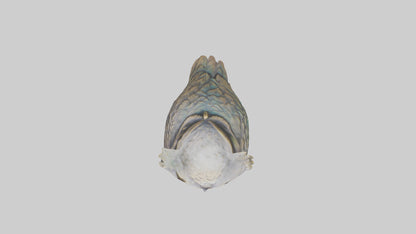 Enchanted Owl statue model VR / AR / low-poly