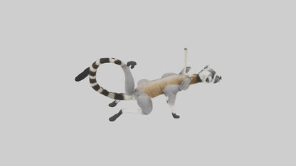 3D model Endangered Lemur swinging model VR / AR / low-poly