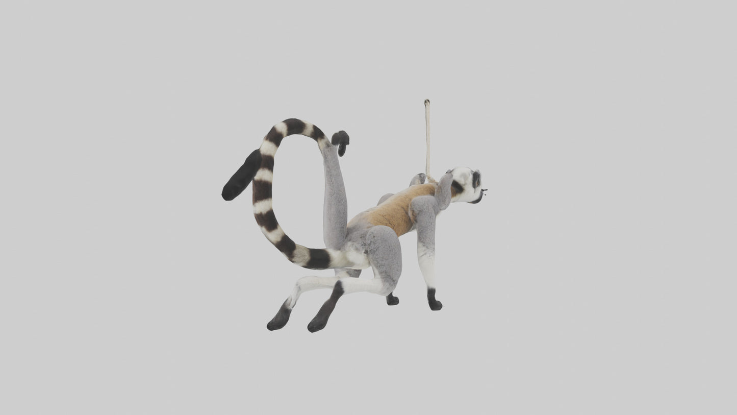3D model Endangered Lemur swinging model VR / AR / low-poly