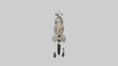 3D model Endangered Lemur swinging model VR / AR / low-poly