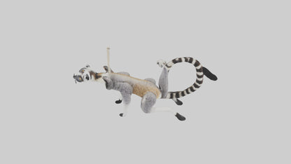 3D model Endangered Lemur swinging model VR / AR / low-poly