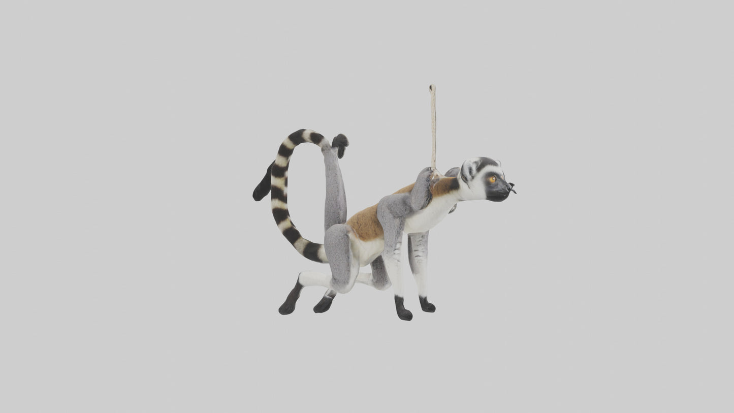 3D model Endangered Lemur swinging model VR / AR / low-poly
