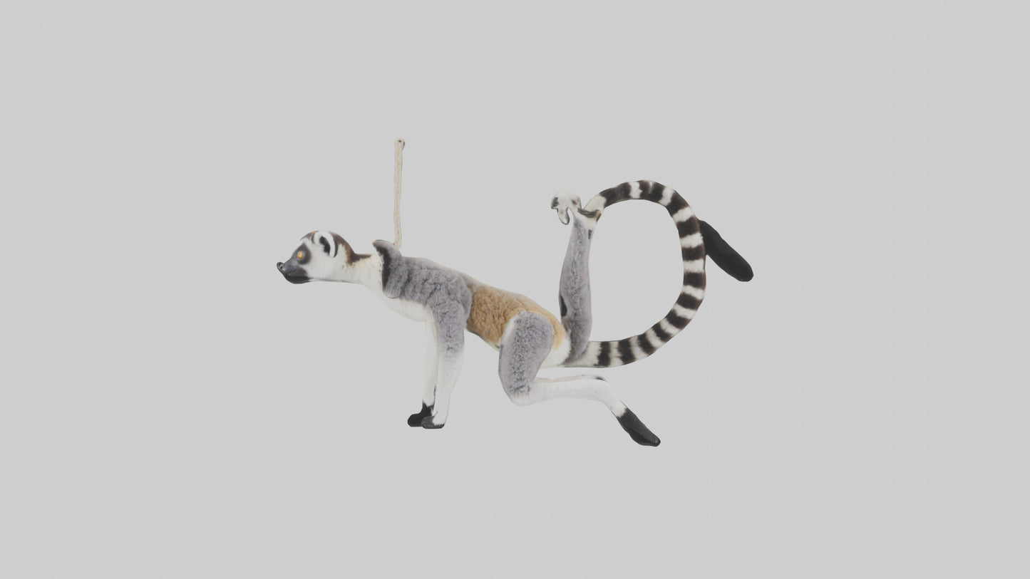3D model Endangered Lemur swinging model VR / AR / low-poly