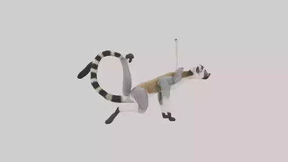3D model Endangered Lemur swinging model VR / AR / low-poly