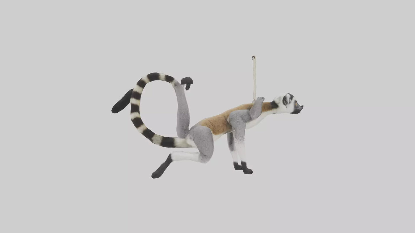 3D model Endangered Lemur swinging model VR / AR / low-poly