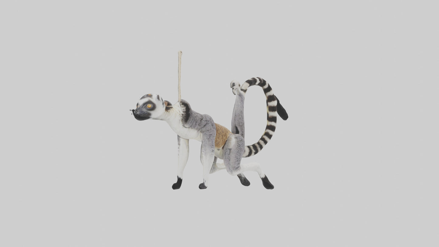 3D model Endangered Lemur swinging model VR / AR / low-poly