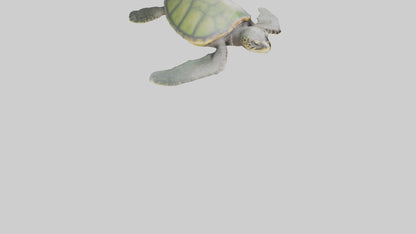 3D model Endangered Sea Turtle swimming model VR / AR / low-poly