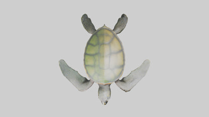 3D model Endangered Sea Turtle swimming model VR / AR / low-poly