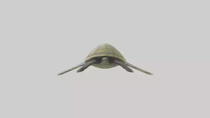 3D model Endangered Sea Turtle swimming model VR / AR / low-poly