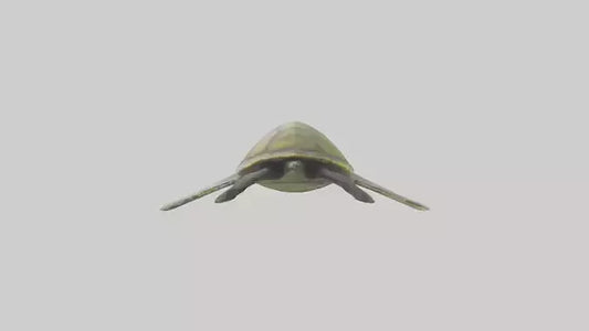 3D model Endangered Sea Turtle swimming model VR / AR / low-poly