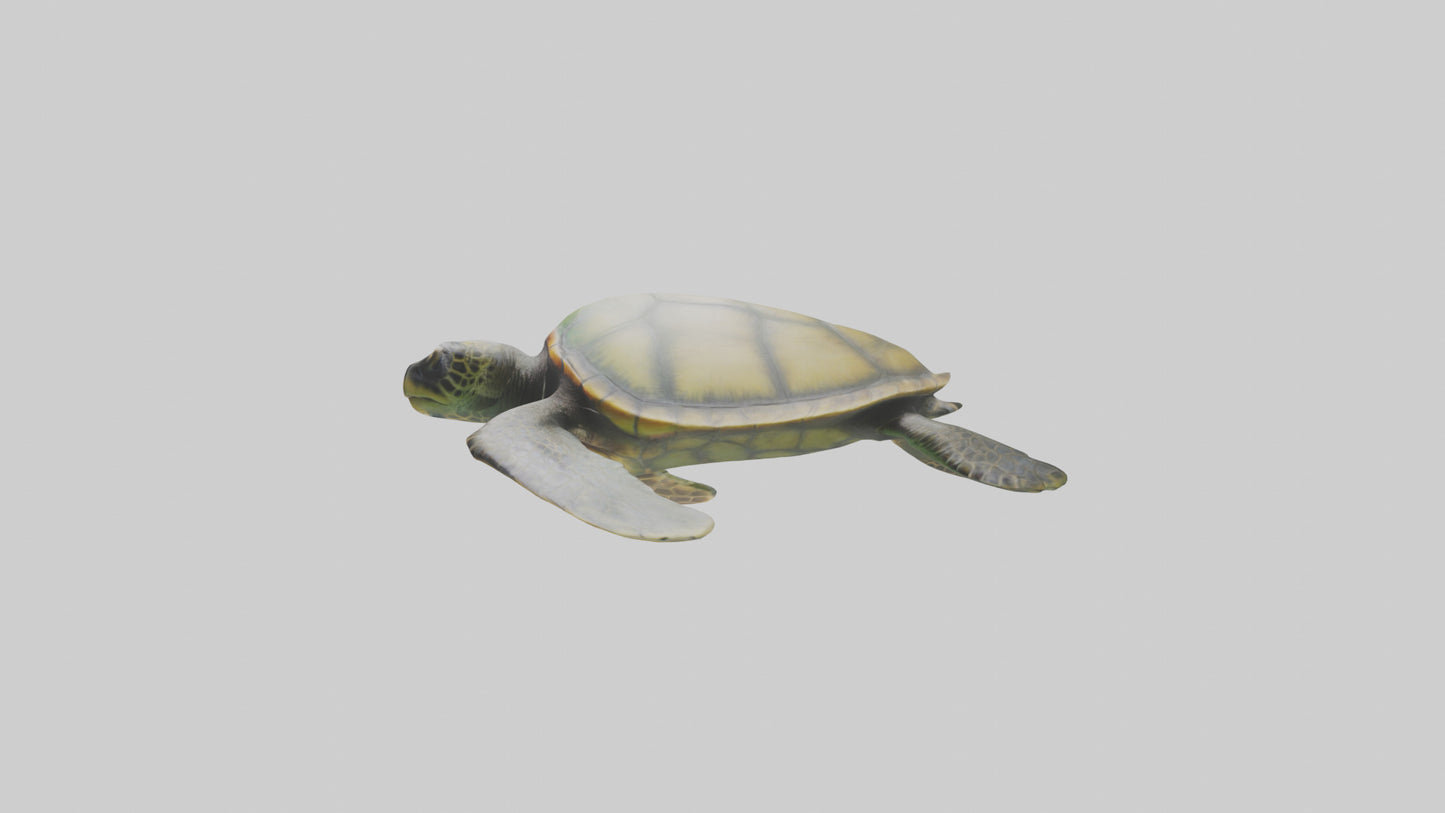 3D model Endangered Sea Turtle swimming model VR / AR / low-poly