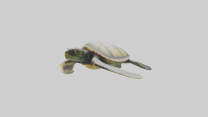 3D model Endangered Sea Turtle swimming model VR / AR / low-poly