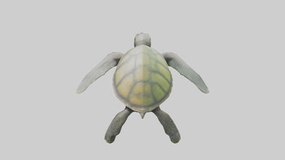 3D model Endangered Sea Turtle swimming model VR / AR / low-poly