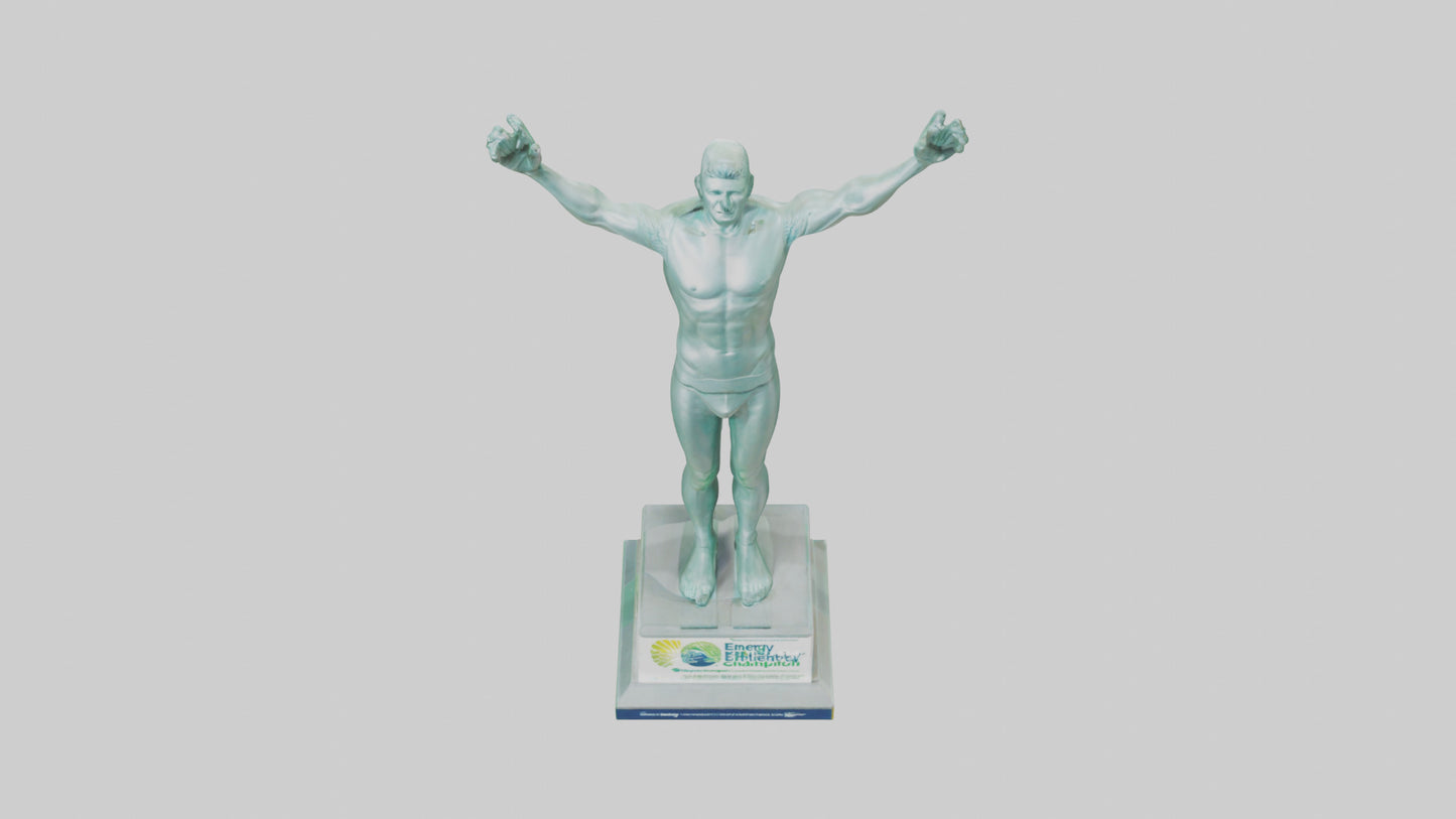 3D model Energy Efficiency Champion Statue model VR / AR / low-poly