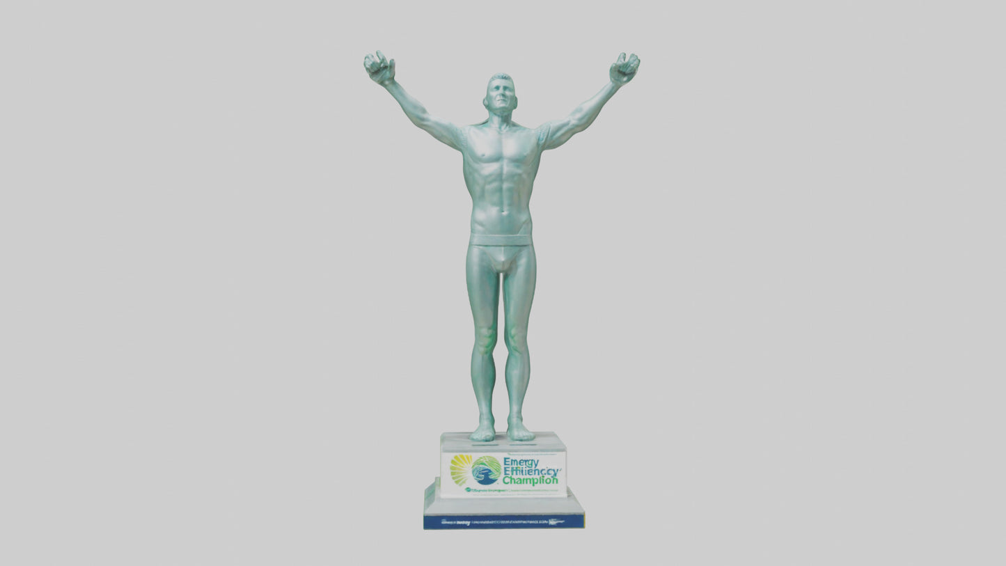 3D model Energy Efficiency Champion Statue model VR / AR / low-poly