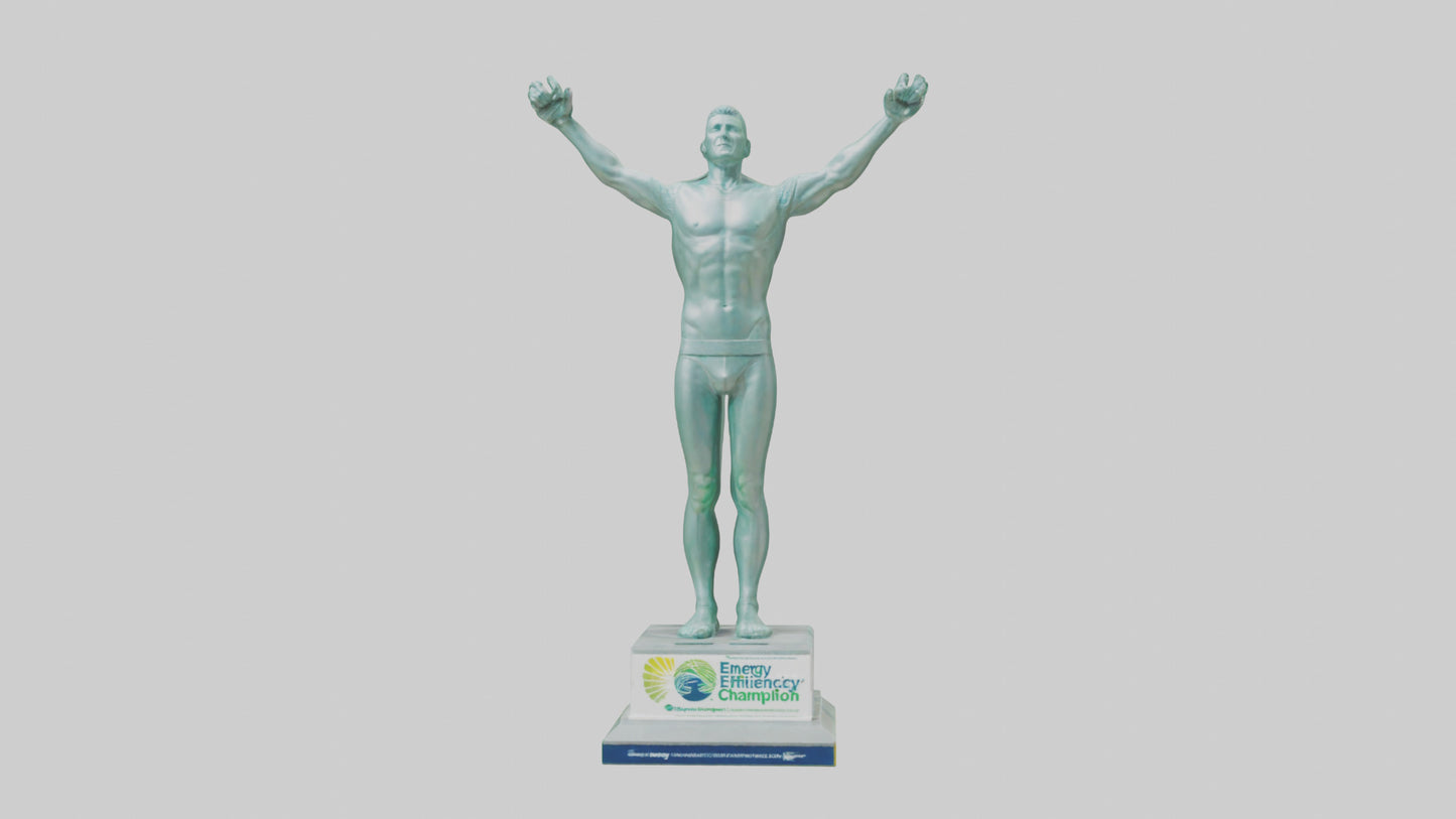 3D model Energy Efficiency Champion Statue model VR / AR / low-poly
