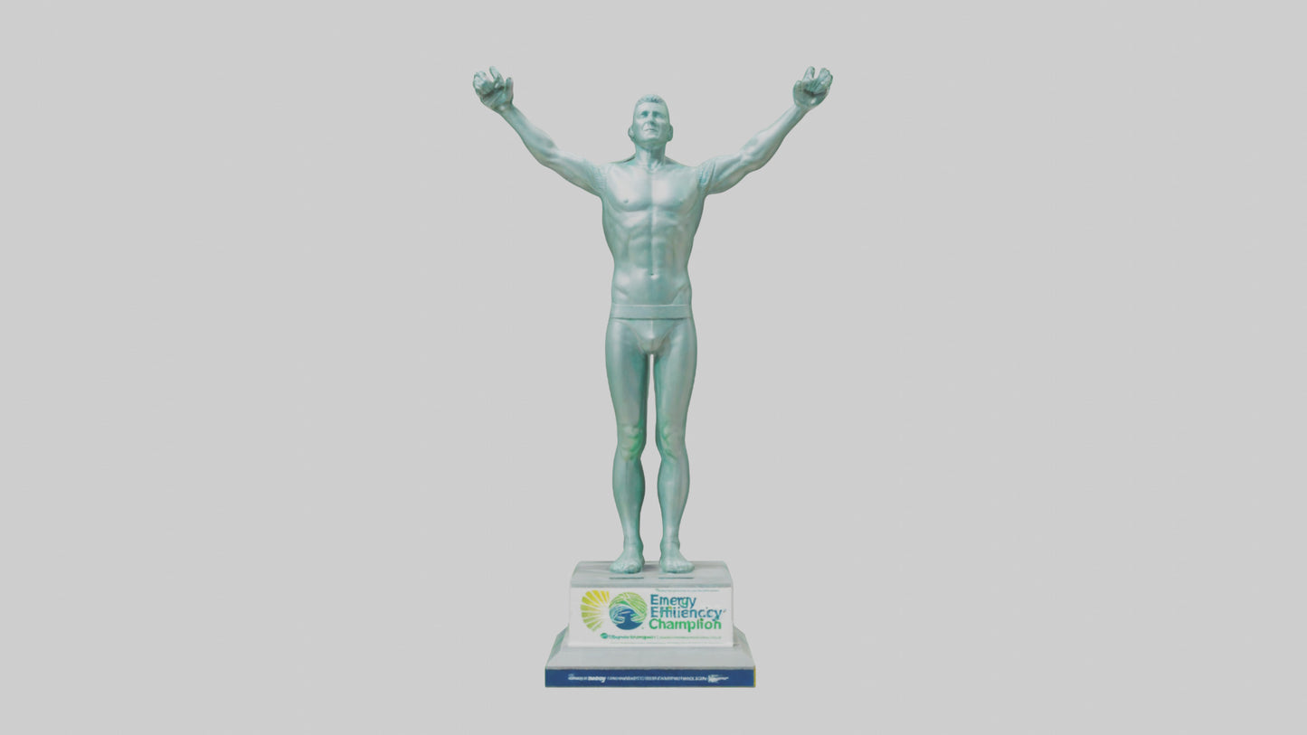 3D model Energy Efficiency Champion Statue model VR / AR / low-poly