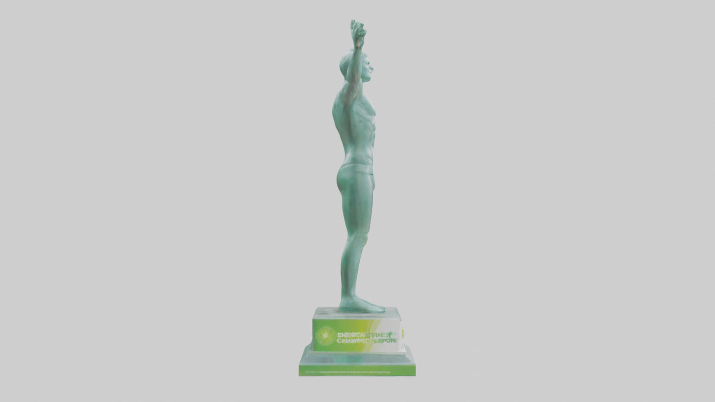 3D model Energy Efficiency Champion Statue model VR / AR / low-poly