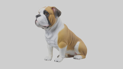 English Bulldog sitting model VR / AR / low-poly