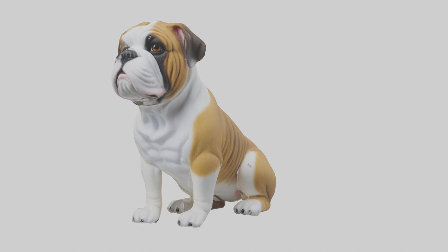 English Bulldog sitting model VR / AR / low-poly