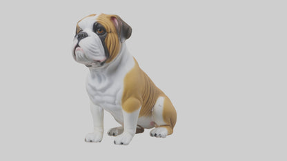 English Bulldog sitting model VR / AR / low-poly