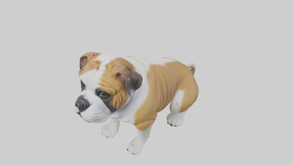 English Bulldog sitting model VR / AR / low-poly