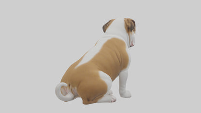 English Bulldog sitting model VR / AR / low-poly