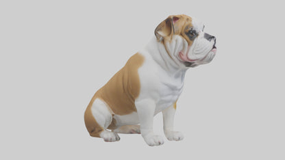 English Bulldog sitting model VR / AR / low-poly