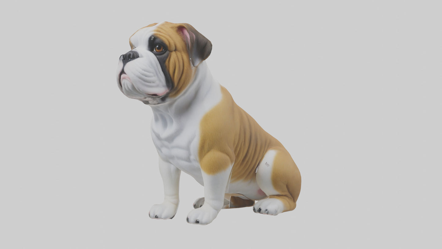 English Bulldog sitting model VR / AR / low-poly