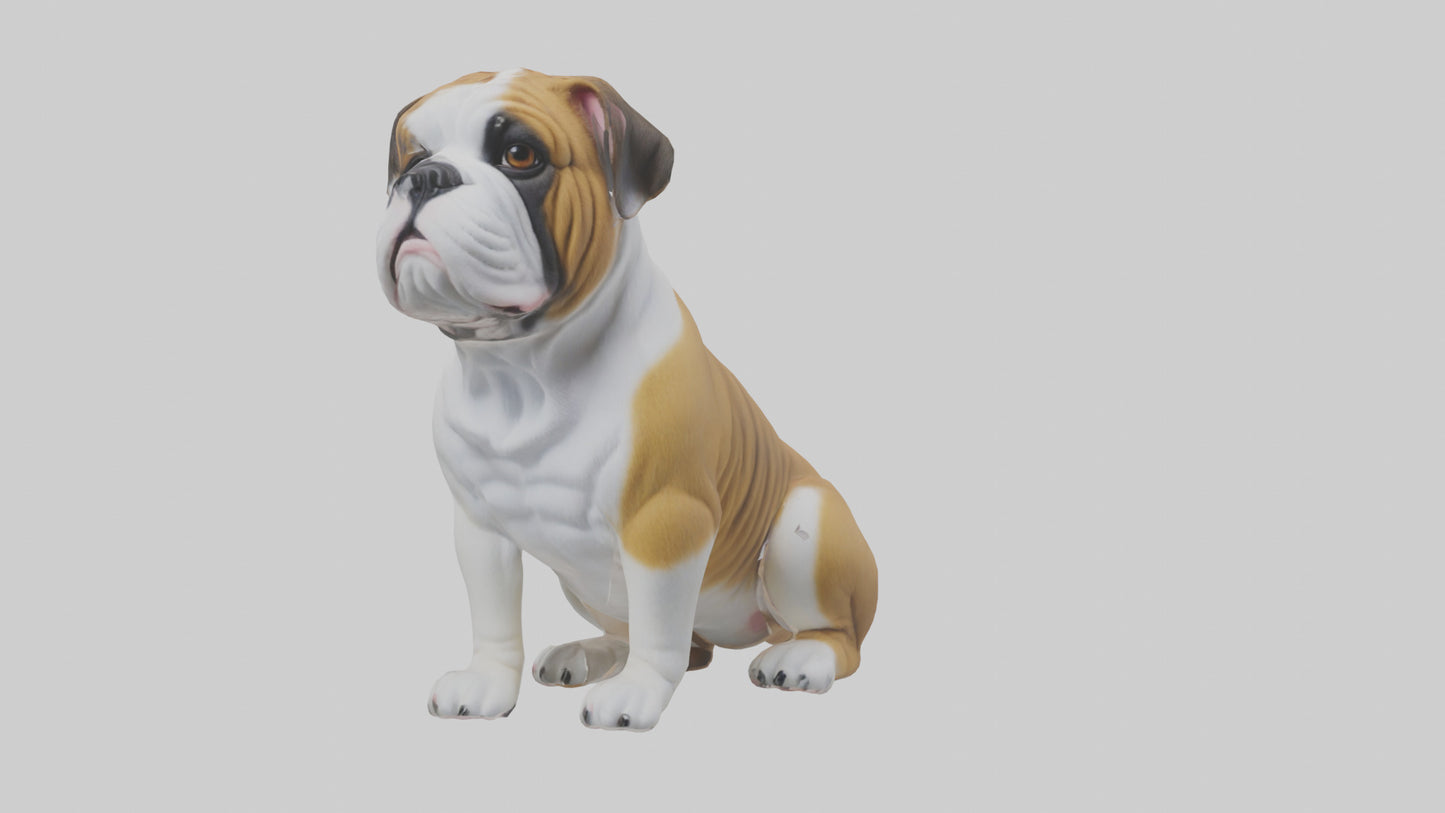English Bulldog sitting model VR / AR / low-poly