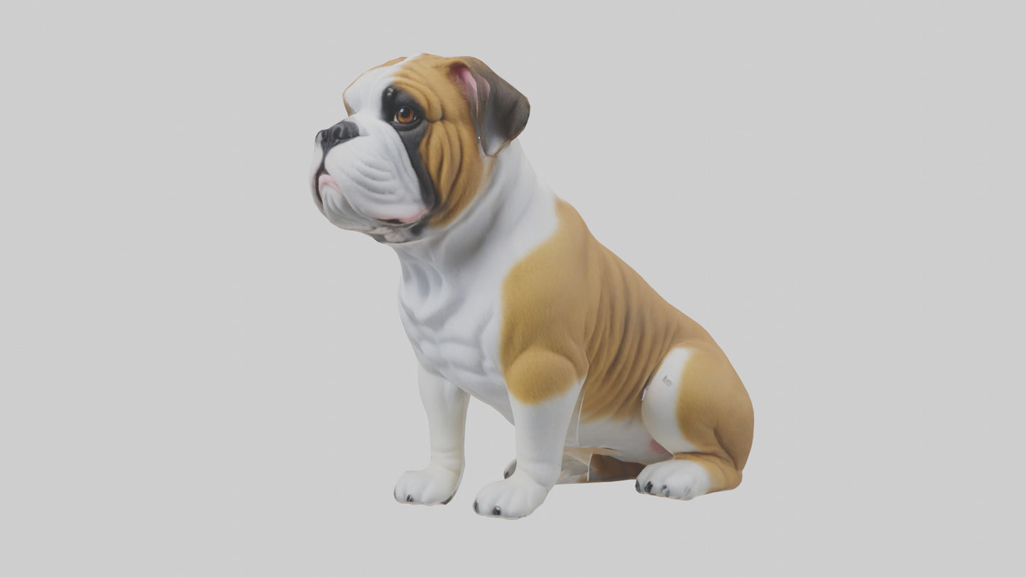 English Bulldog sitting model VR / AR / low-poly