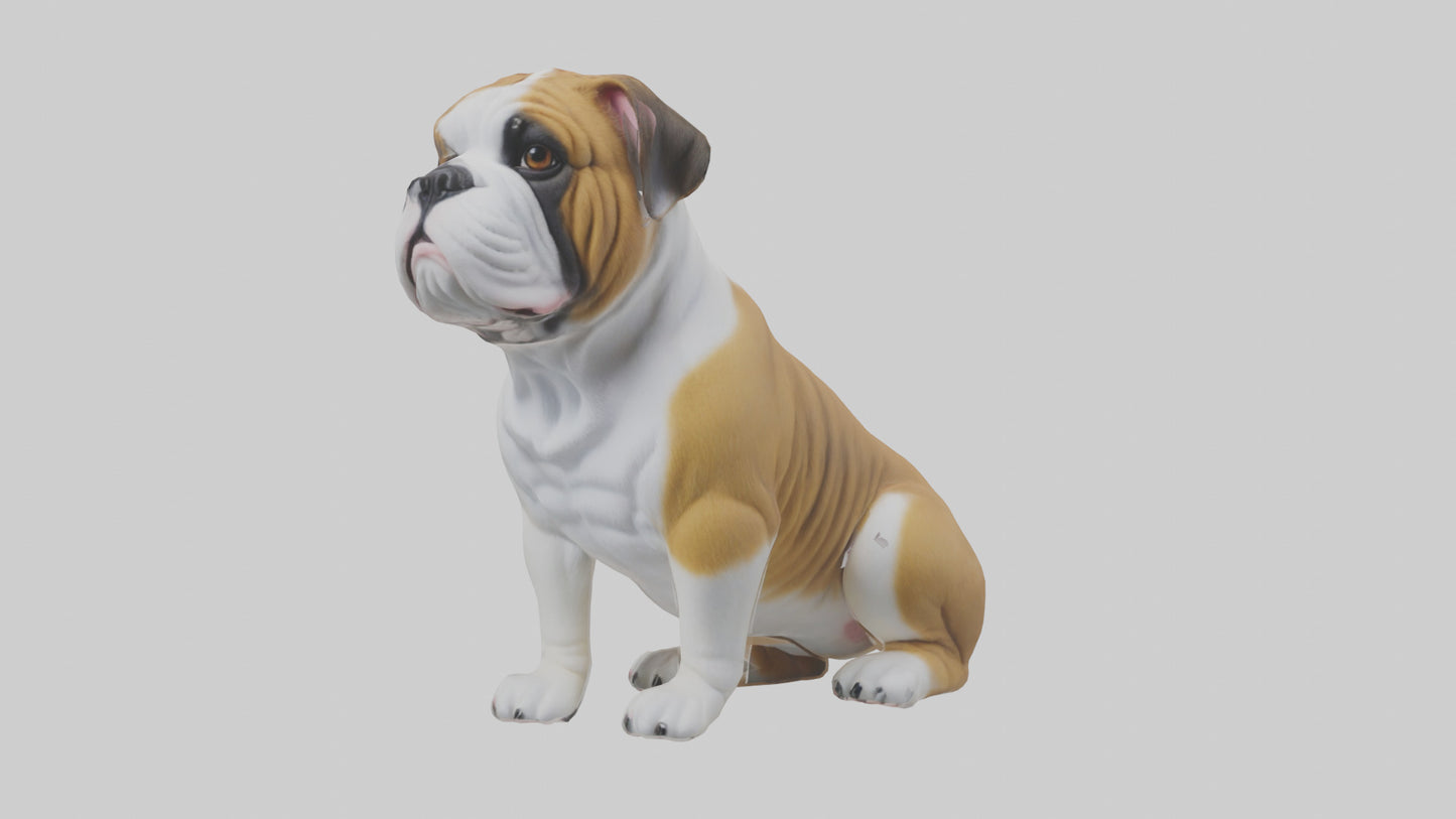 English Bulldog sitting model VR / AR / low-poly