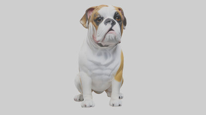 English Bulldog sitting model VR / AR / low-poly