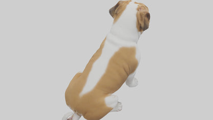 English Bulldog sitting model VR / AR / low-poly