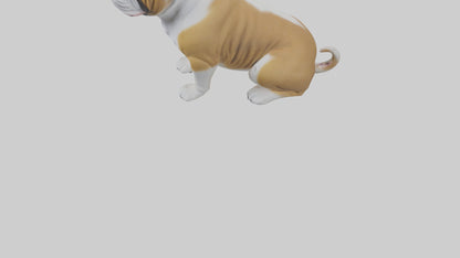English Bulldog sitting model VR / AR / low-poly