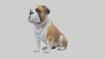 English Bulldog sitting model VR / AR / low-poly