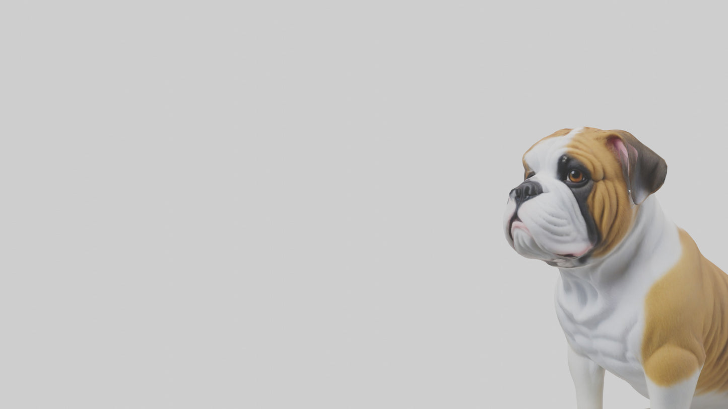 English Bulldog sitting model VR / AR / low-poly