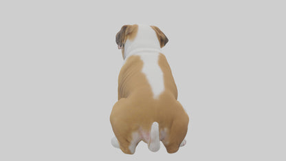 English Bulldog sitting model VR / AR / low-poly