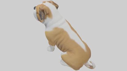 English Bulldog sitting model VR / AR / low-poly