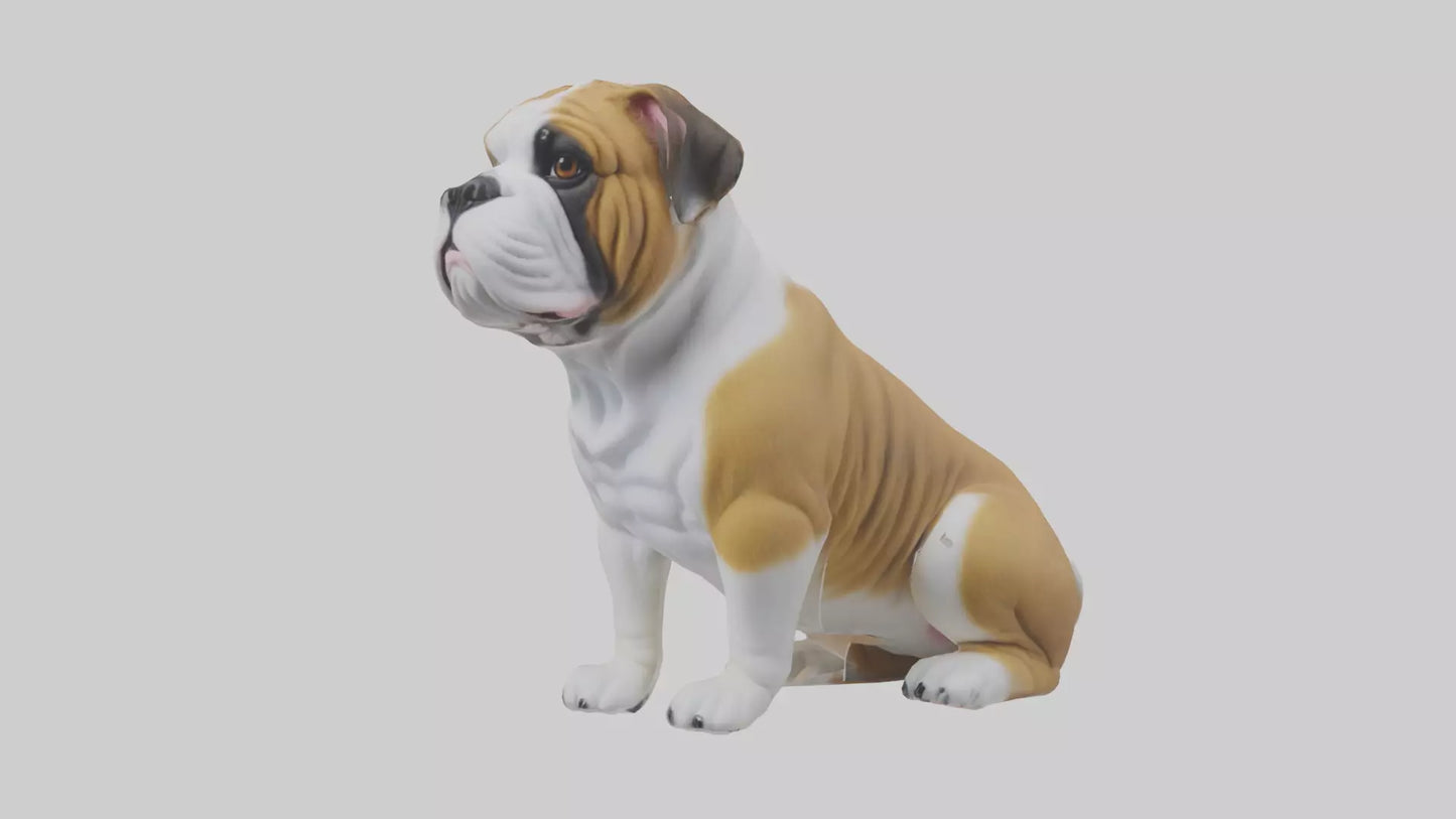 English Bulldog sitting model VR / AR / low-poly