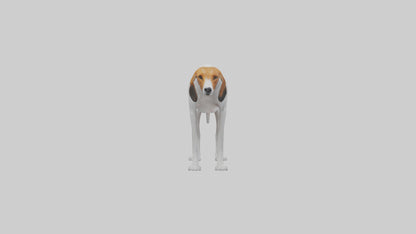 3D model English Foxhound sniffing model VR / AR / low-poly