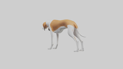 3D model English Foxhound sniffing model VR / AR / low-poly