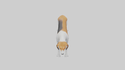 3D model English Foxhound sniffing model VR / AR / low-poly