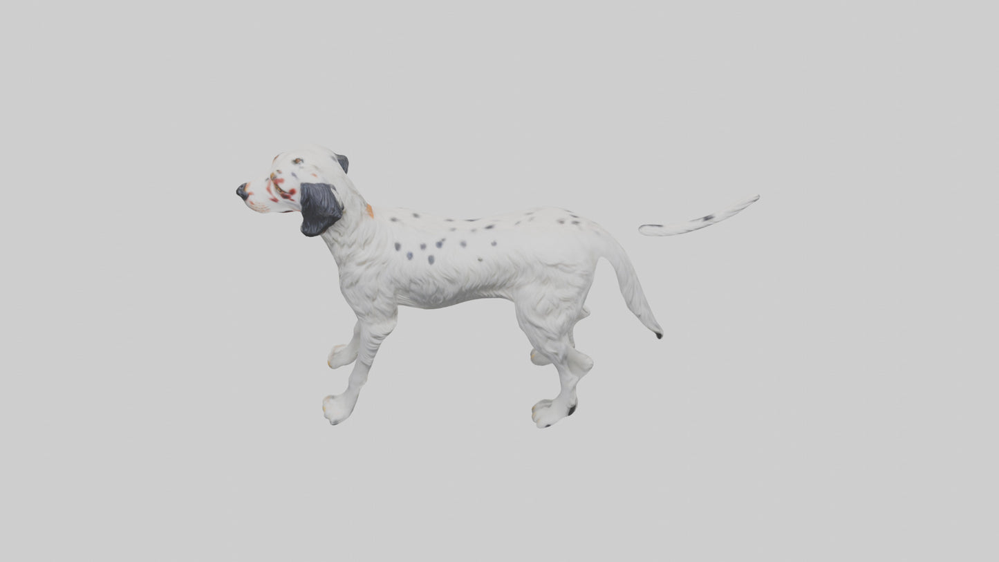 3D model English Setter hunting model VR / AR / low-poly