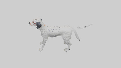 3D model English Setter hunting model VR / AR / low-poly