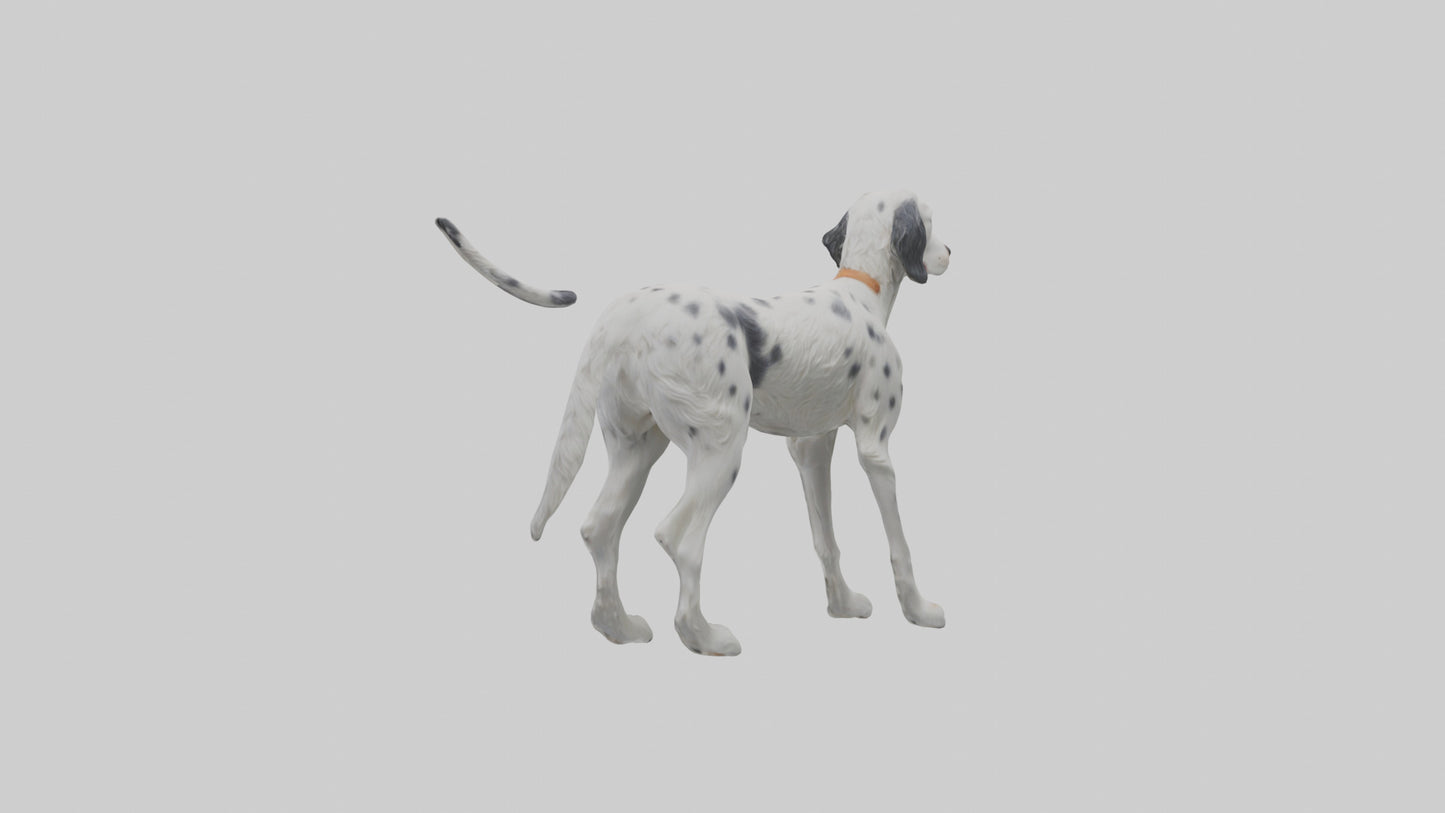 3D model English Setter hunting model VR / AR / low-poly